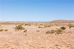 property photo for Sunrise Ranches Phase III Tract 129, 80.08 acres for sale in Hudspeth County, Texas