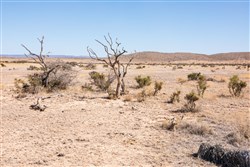 property photo for Sunrise Ranches Phase III Tract 129, 80.08 acres for sale in Hudspeth County, Texas