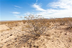 property photo for Sunrise Ranches Phase III Tract 141, 80.08 acres for sale in Hudspeth County, Texas