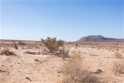 property photo for Sunrise Ranches Phase III Tract 141, 80.08 acres for sale in Hudspeth County, Texas