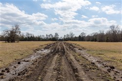 property photo for Wishing Star Ranch Tract 90, 6.77 acres for sale in Red River County, Texas