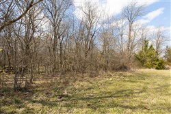 property photo for Wishing Star Ranch Tract 90, 6.77 acres for sale in Red River County, Texas