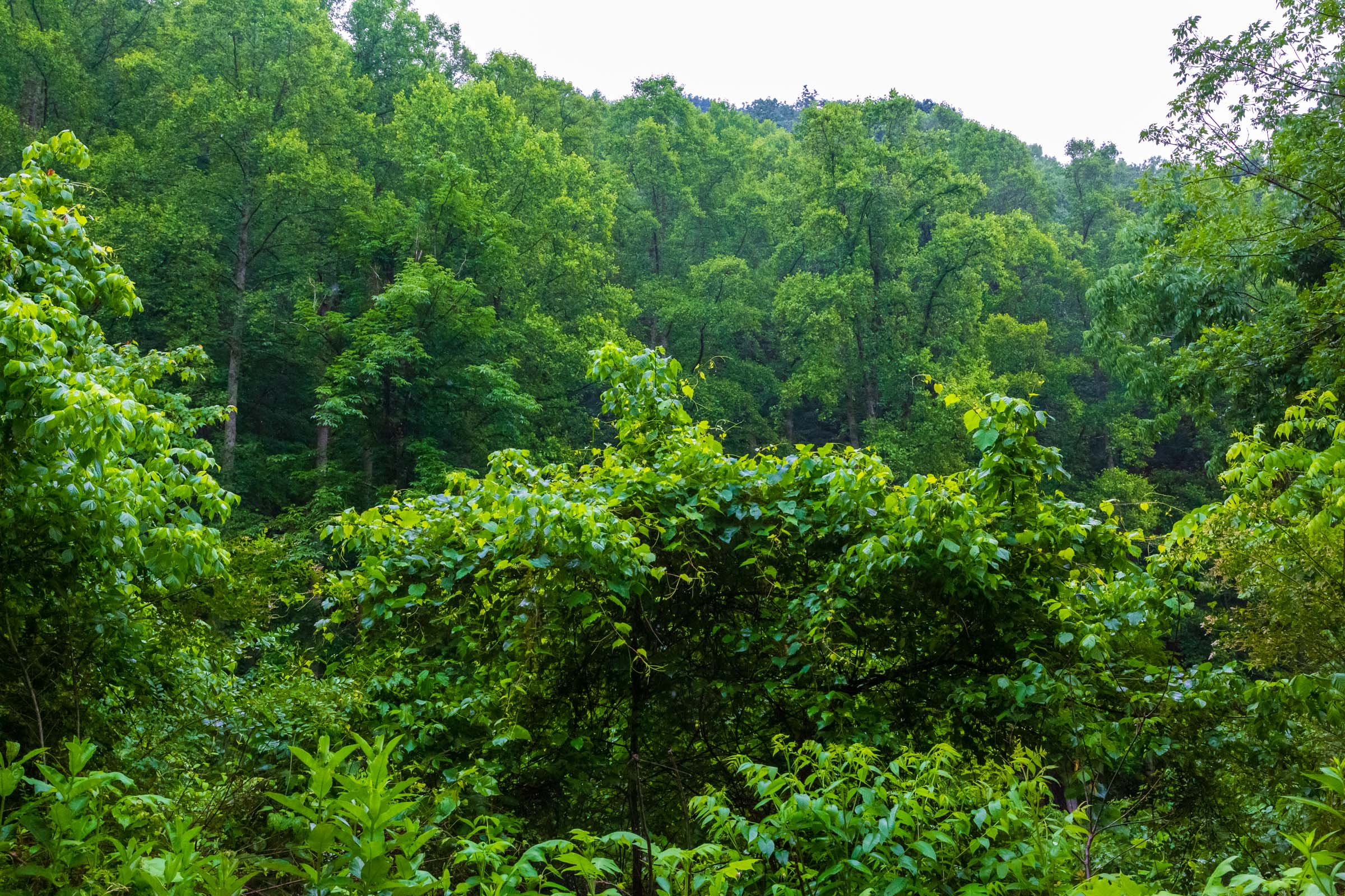 Tract 10 at Bluffview in Russell County, Virginia