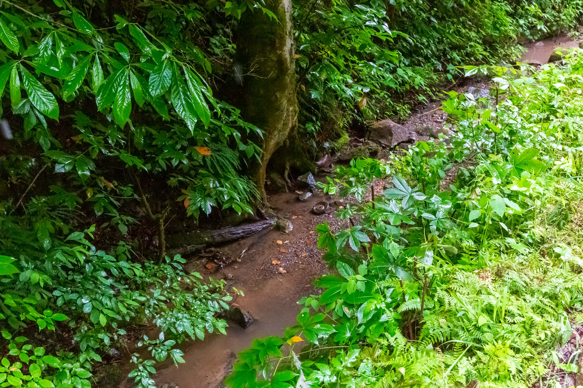 Tract 12 at Bluffview in Russell County, Virginia
