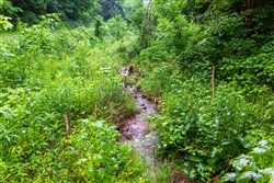 property photo for Bluffview Tract 12, 12.9 acres for sale in Russell County, Virginia