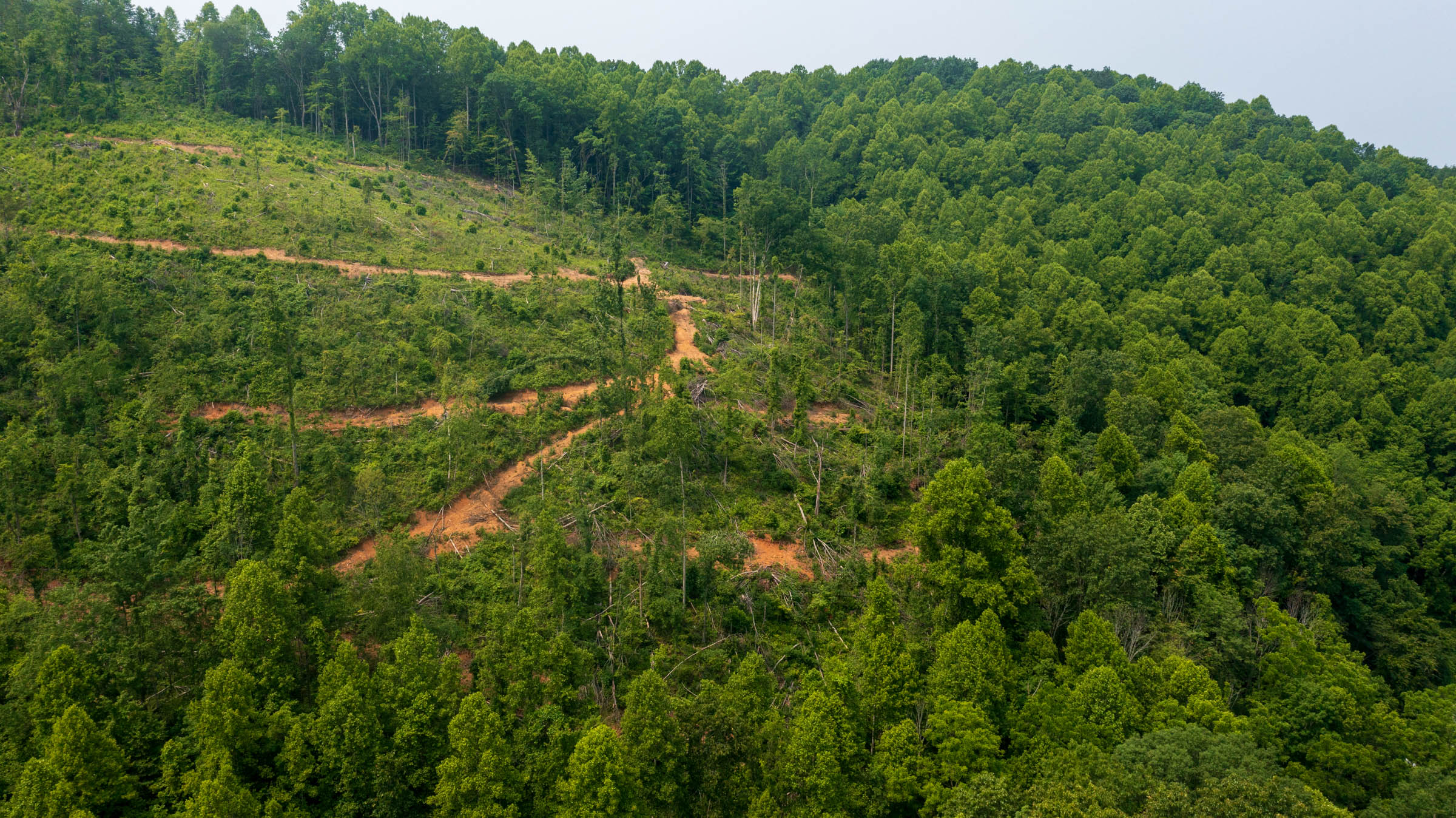 Tract 7 at Bluffview in Russell County, Virginia