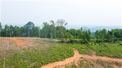 property photo for Bluffview Tract 8, 14.94 acres for sale in Russell County, Virginia