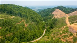 property photo for Bluffview Tract 8, 14.94 acres for sale in Russell County, Virginia
