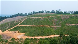 property photo for Bluffview Tract 8, 14.94 acres for sale in Russell County, Virginia