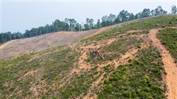 property photo for Bluffview Tract 8, 14.94 acres for sale in Russell County, Virginia