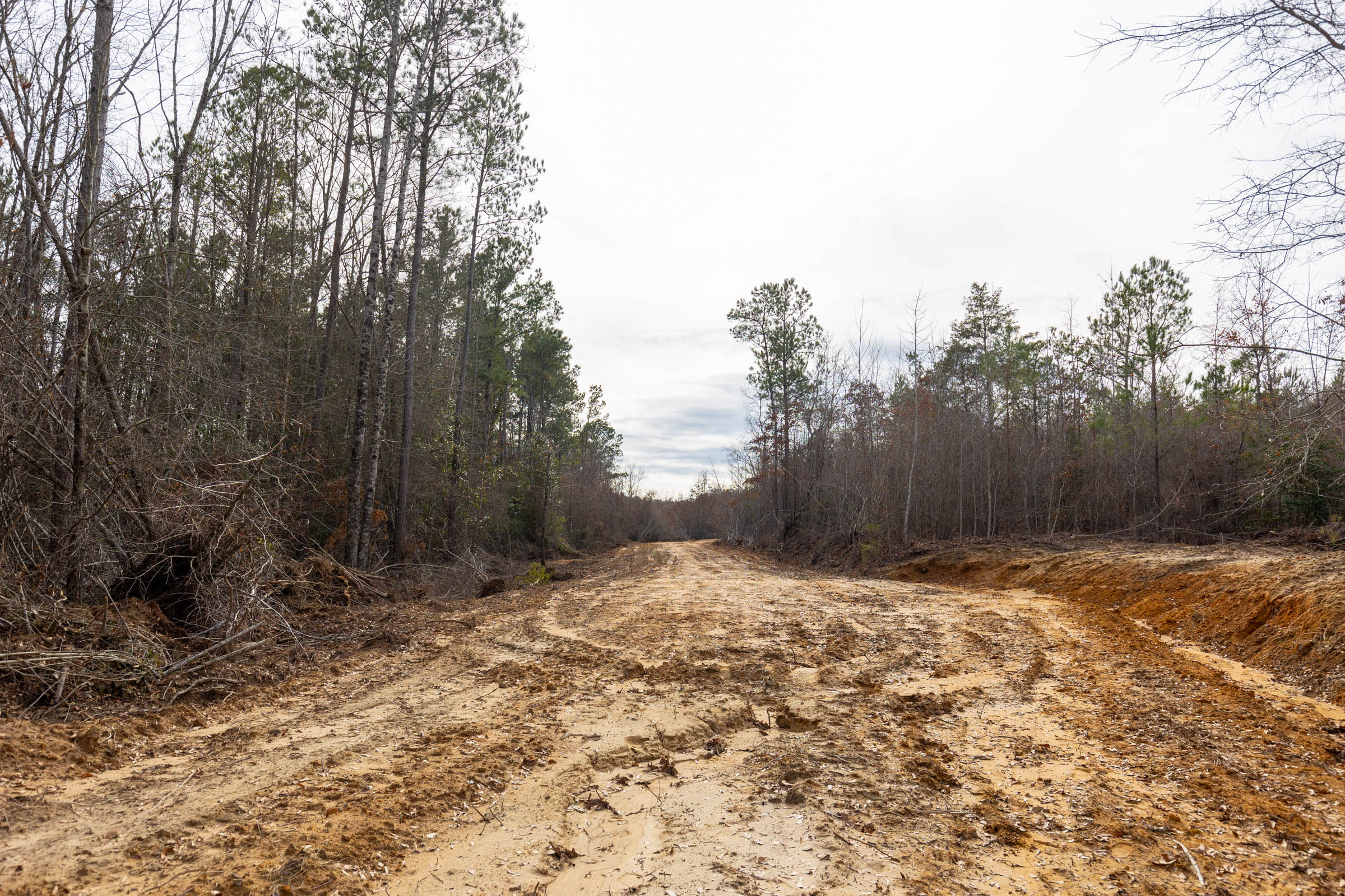 Tract 10 at Baker Creek in Fayette County, Alabama