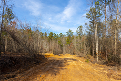 property photo for Baker Creek Tract 11, 5.85 acres for sale in Fayette County, Alabama