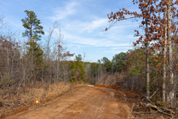 property photo for Baker Creek Tract 11, 5.85 acres for sale in Fayette County, Alabama