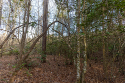 property photo for Baker Creek Tract 11, 5.85 acres for sale in Fayette County, Alabama
