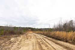 property photo for Baker Creek Tract 11, 5.85 acres for sale in Fayette County, Alabama