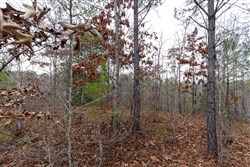 property photo for Baker Creek Tract 11, 5.85 acres for sale in Fayette County, Alabama