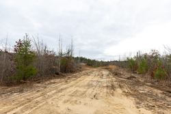 property photo for Baker Creek Tract 11, 5.85 acres for sale in Fayette County, Alabama