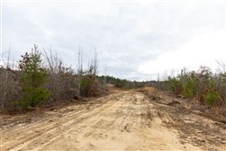 property photo for Baker Creek Tract 11, 5.85 acres for sale in Fayette County, Alabama