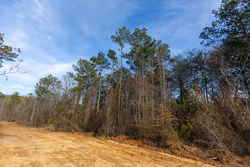 property photo for Baker Creek Tract 11, 5.85 acres for sale in Fayette County, Alabama