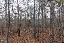 property photo for Baker Creek Tract 11, 5.85 acres for sale in Fayette County, Alabama