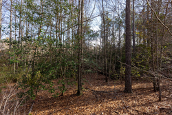 property photo for Baker Creek Tract 11, 5.85 acres for sale in Fayette County, Alabama