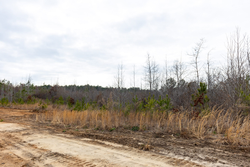property photo for Baker Creek Tract 12, 4.94 acres for sale in Fayette County, Alabama