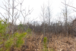 property photo for Baker Creek Tract 12, 4.94 acres for sale in Fayette County, Alabama