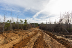 property photo for Baker Creek Tract 12, 4.94 acres for sale in Fayette County, Alabama