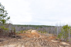 property photo for Baker Creek Tract 12, 4.94 acres for sale in Fayette County, Alabama