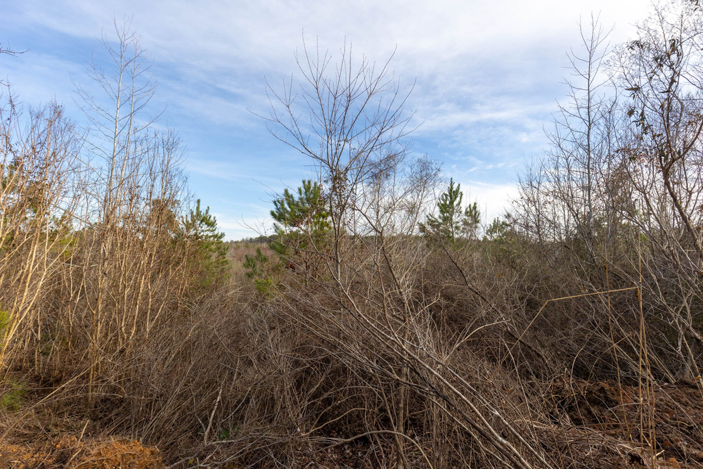 4.94 acre rural land tract for sale at Baker Creek Tract 12 in Fayette County, Alabama