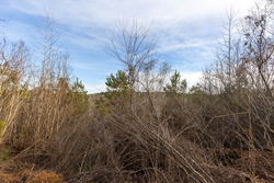 property photo for Baker Creek Tract 12, 4.94 acres for sale in Fayette County, Alabama