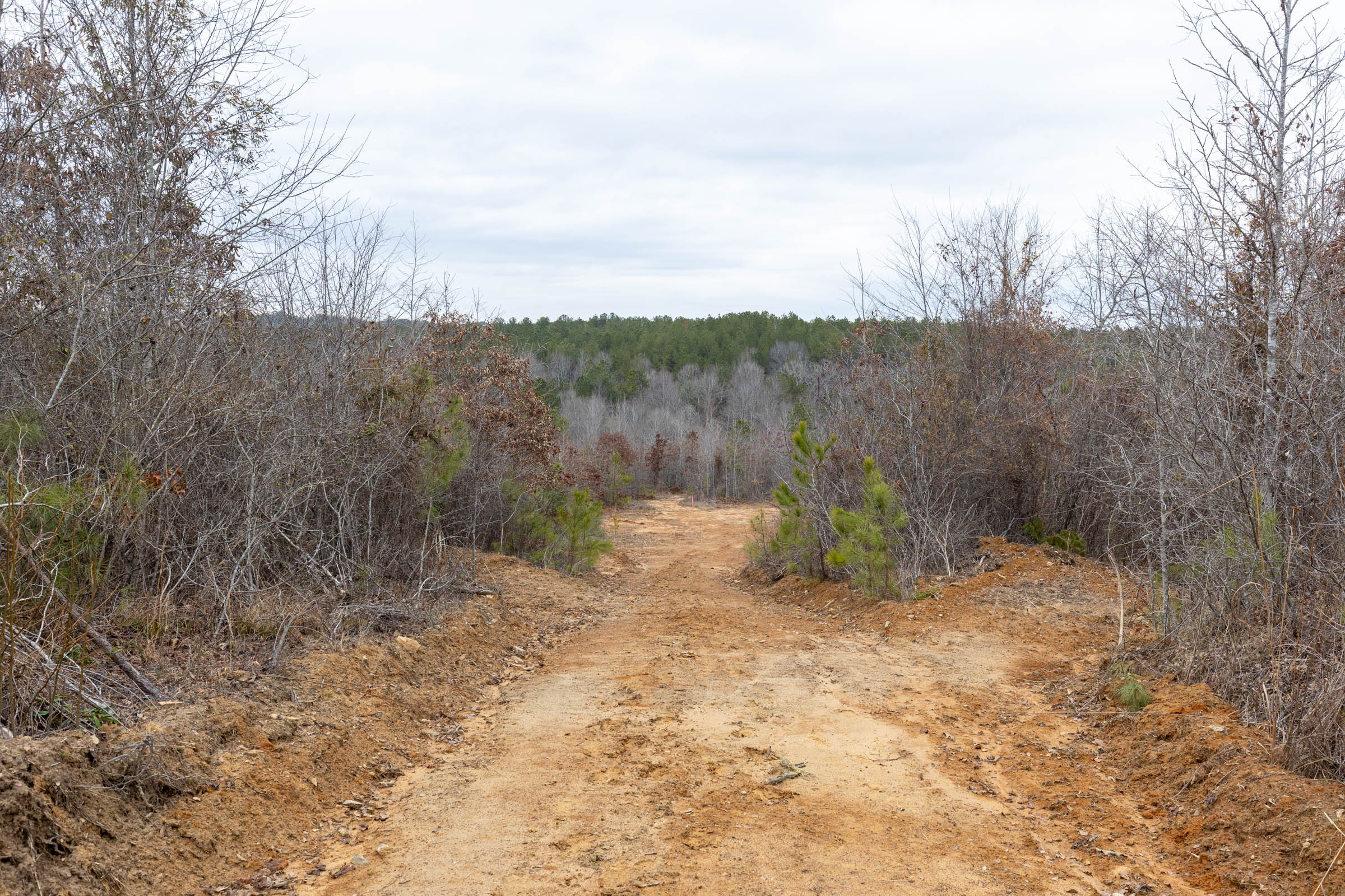 Tract 17 at Baker Creek in Fayette County, Alabama