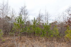 property photo for Baker Creek Tract 18, 5.92 acres for sale in Fayette County, Alabama