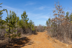 property photo for Baker Creek Tract 4, 6.06 acres for sale in Fayette County, Alabama