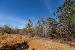property photo for Baker Creek Tract 4, 6.06 acres for sale in Fayette County, Alabama