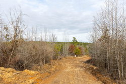 property photo for Baker Creek Tract 4, 6.06 acres for sale in Fayette County, Alabama