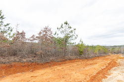 property photo for Baker Creek Tract 4, 6.06 acres for sale in Fayette County, Alabama
