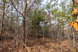property photo for Baker Creek Tract 7, 5.52 acres for sale in Fayette County, Alabama
