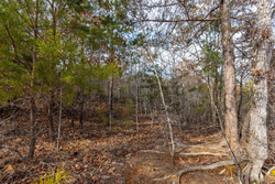property photo for Baker Creek Tract 7, 5.52 acres for sale in Fayette County, Alabama