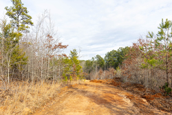 property photo for Baker Creek Tract 7, 5.52 acres for sale in Fayette County, Alabama