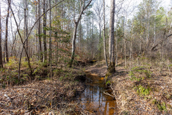 property photo for Baker Creek Tract 9, 5.38 acres for sale in Fayette County, Alabama
