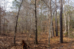 property photo for Baker Creek Tract 9, 5.38 acres for sale in Fayette County, Alabama