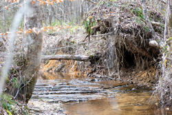 property photo for Baker Creek Tract 9, 5.38 acres for sale in Fayette County, Alabama