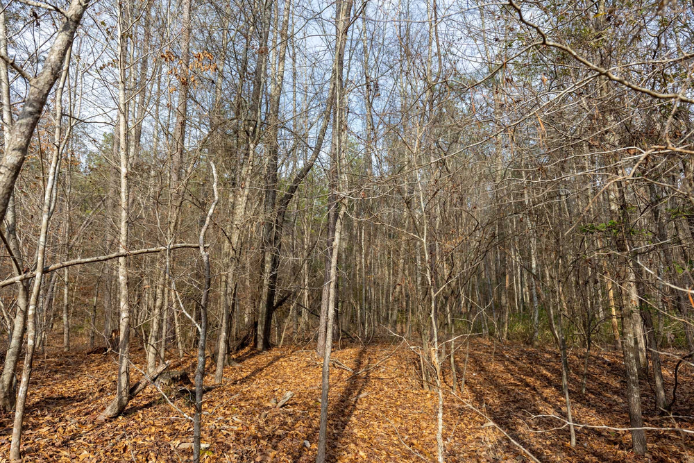 5.38 acre rural land tract for sale at Baker Creek Tract 9 in Fayette County, Alabama
