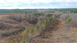 property photo for Fairview Hills Tract 7, 5.08 acres for sale in Lamar County, Alabama