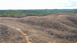 property photo for Fairview Hills Tract 7, 5.08 acres for sale in Lamar County, Alabama