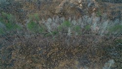 property photo for Fairview Hills Tract 7, 5.08 acres for sale in Lamar County, Alabama