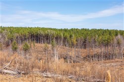 property photo for Fairview Hills Tract 7, 5.08 acres for sale in Lamar County, Alabama