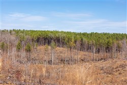 property photo for Fairview Hills Tract 7, 5.08 acres for sale in Lamar County, Alabama