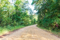 property photo for Willow Grove Tract 6, 5.39 acres for sale in Lamar County, Alabama